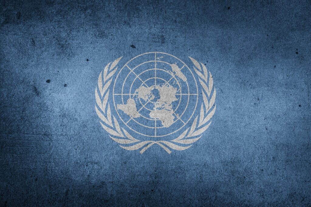 Historic convention on cybercrime adopted by UN General Assembly